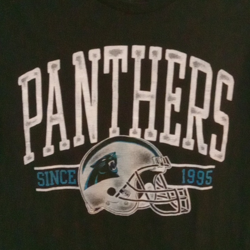 NFL Carolina Panthers T-shirt Black and Blue Size S/P*HostPick* - Picture 2 of 7